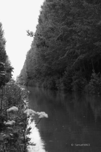 Parc de la Poudrerie et Canal de l'Ourcq - 93 - Juillet 2023