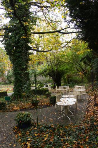 Cracovie (Tertre) - Pologne - Novembre 2023