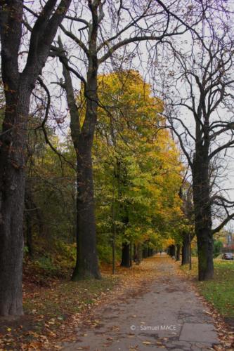 Cracovie (Tertre) - Pologne - Novembre 2023