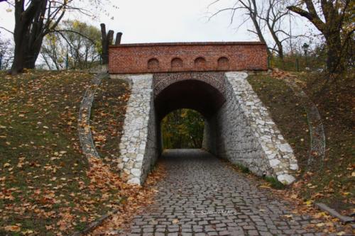 Cracovie (Tertre) - Pologne - Novembre 2023