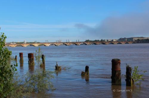 Du Sud au Nord - Bordeaux (33)- Septembre 2023
