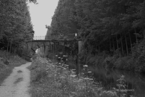 Parc de la Poudrerie et Canal de l'Ourcq - 93 - Juillet 2023