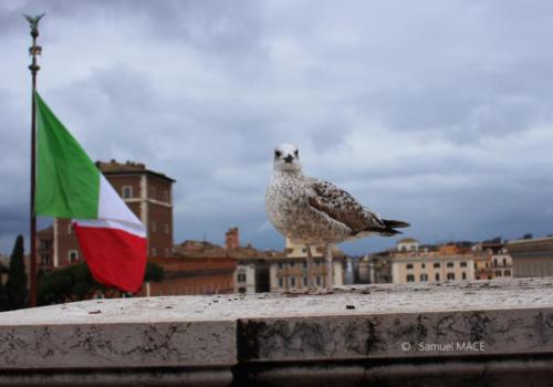 Colisée (Rome) - Italie - Février 2023