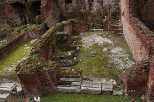 Colisée (Rome) - Italie - Février 2023