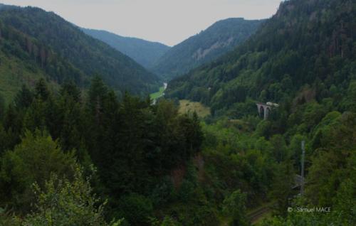 Sud de la Forêt Noire - Allemagne - Juillet 2023