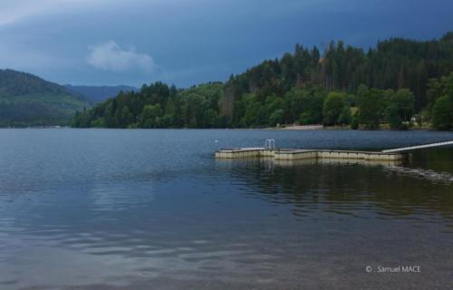 Sud de la Forêt Noire - Allemagne - Juillet 2023