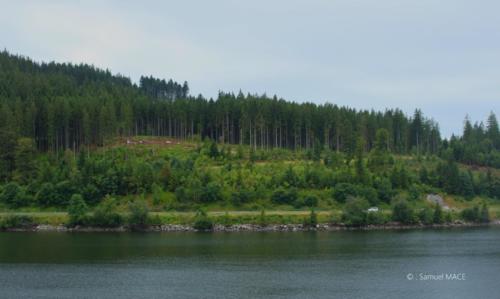 Sud de la Forêt Noire - Allemagne - Juillet 2023