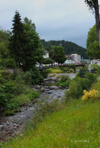 Sud de la Forêt Noire - Allemagne - Juillet 2023