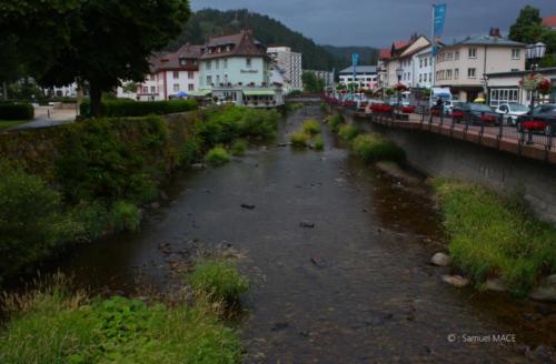 Sud de la Forêt Noire - Allemagne - Juillet 2023