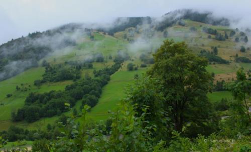 Sud de la Forêt Noire - Allemagne - Juillet 2023