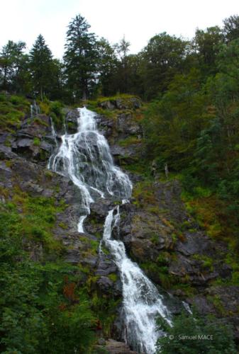 Sud de la Forêt Noire - Allemagne - Juillet 2023