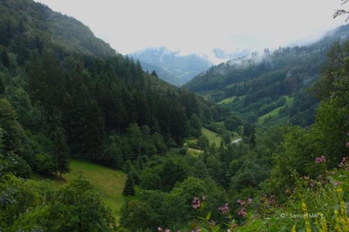 Sud de la Forêt Noire - Allemagne - Juillet 2023