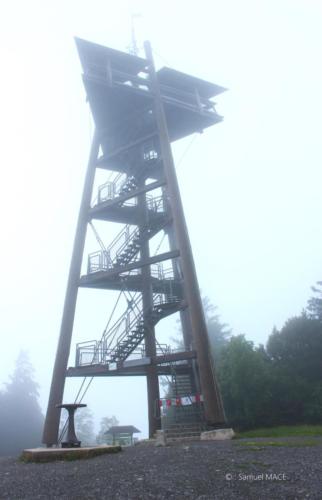 Sud de la Forêt Noire - Allemagne - Juillet 2023