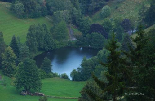 Sud de la Forêt Noire - Allemagne - Juillet 2023