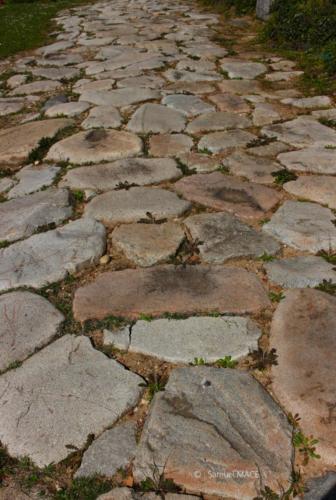 Vienne - Isère - Avril 2024