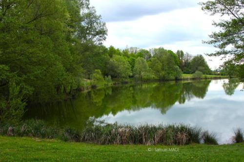 Pérouges - Ain - Avril 2024