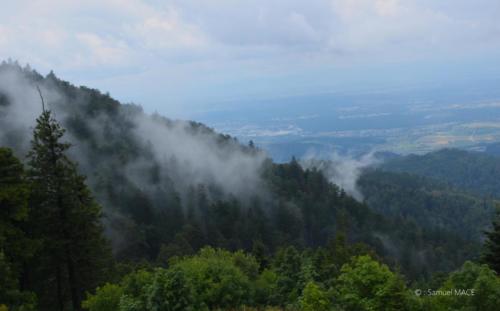 De Waldkirch à Gutach - Allemagne - Juillet 2023