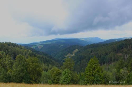 De Waldkirch à Gutach - Allemagne - Juillet 2023