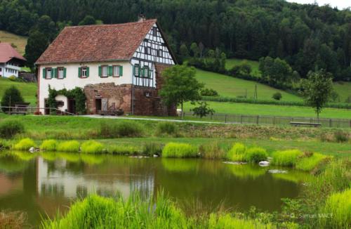 De Waldkirch à Gutach - Allemagne - Juillet 2023