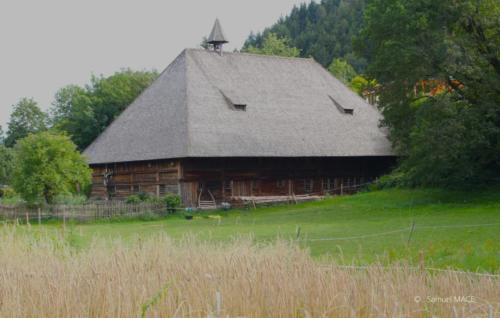 De Waldkirch à Gutach - Allemagne - Juillet 2023