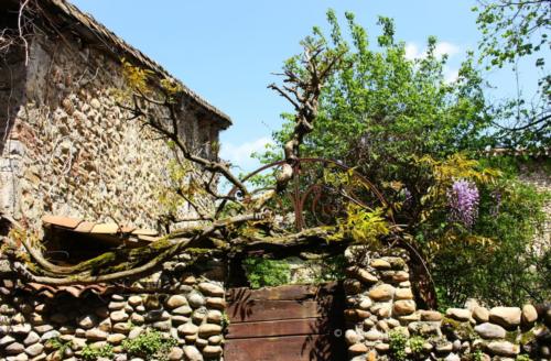 Pérouges - Ain - Avril 2024