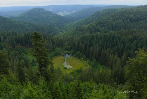 De Schiltach vers Allerheiligen - Allemagne - Juillet 2023