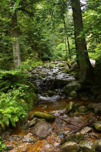 De Schiltach vers Allerheiligen - Allemagne - Juillet 2023