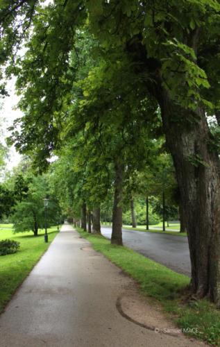 De Baden Baden à Karlsruhe - Allemagne - juillet 2023