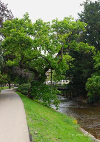 De Baden Baden à Karlsruhe - Allemagne - juillet 2023