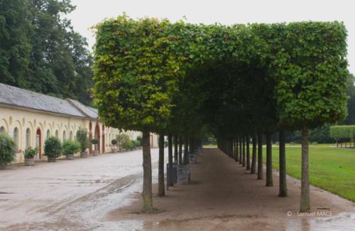 De Baden Baden à Karlsruhe - Allemagne - juillet 2023