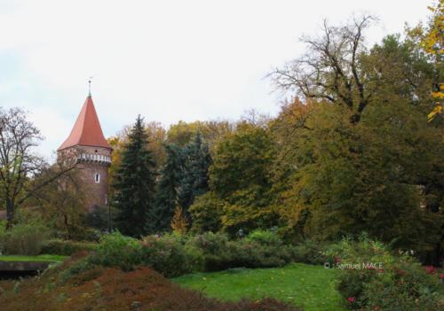 Cracovie (Sarbacane) - Pologne - Novembre 2023