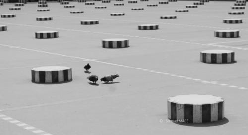 De la Gare de l'Est au Grand Palais - Paris - Mai 2024