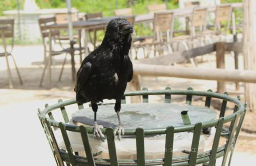 De la Gare de l'Est au Grand Palais - Paris - Mai 2024