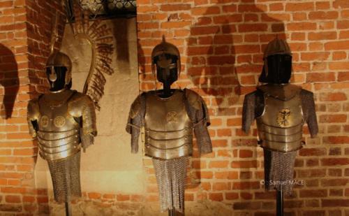 Cracovie (Château) - Pologne - Novembre 2023