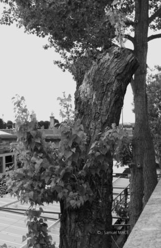 De la Gare de l'Est au Grand Palais - Paris - Mai 2024