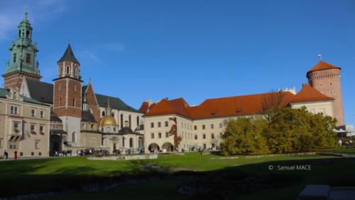 Cracovie (Château) - Pologne - Novembre 2023