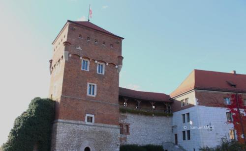 Cracovie (Château) - Pologne - Novembre 2023