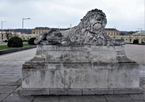 Schonbrunn et Vienne Ouest - Autriche - Décembre 2022