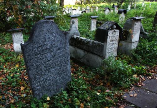 Cracovie (Château) - Pologne - Novembre 2023