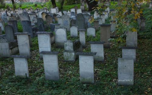 Cracovie (Château) - Pologne - Novembre 2023