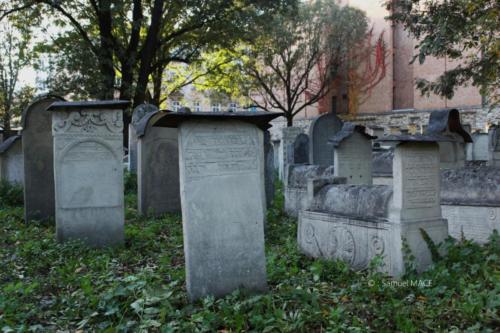 Cracovie (Château) - Pologne - Novembre 2023