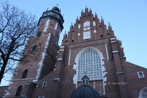Cracovie (Château) - Pologne - Novembre 2023