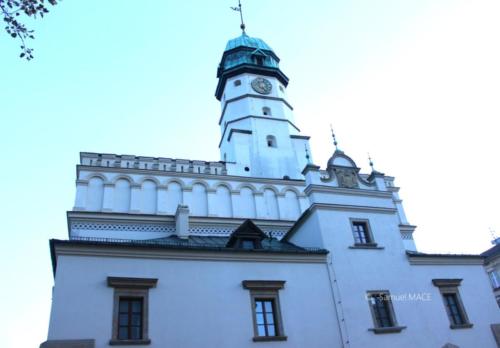 Cracovie (Château) - Pologne - Novembre 2023