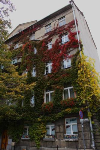 Cracovie (Tertre) - Pologne - Novembre 2023