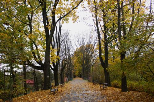 Cracovie (Tertre) - Pologne - Novembre 2023