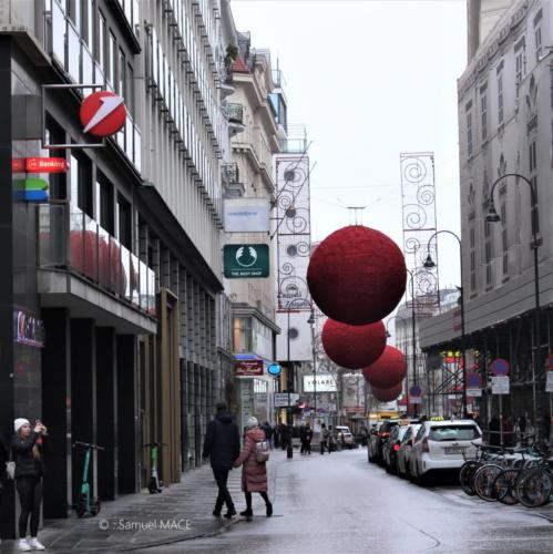 Vienne (Cathédrale) - Autriche - Décembre 2022