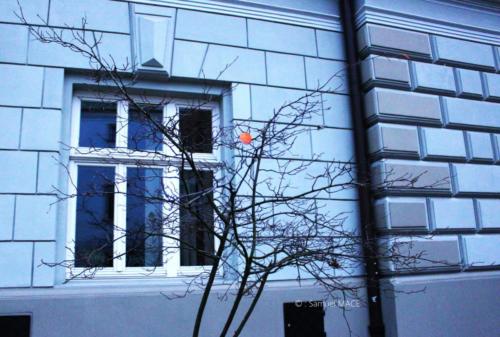 Cracovie (Tertre) - Pologne - Novembre 2023