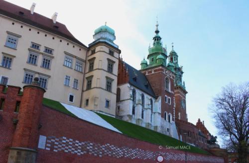 Du Collegium Maius vers Fabrique O Schindler - Cracovie - Novembre 2023