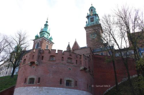 Du Collegium Maius vers Fabrique O Schindler - Cracovie - Novembre 2023