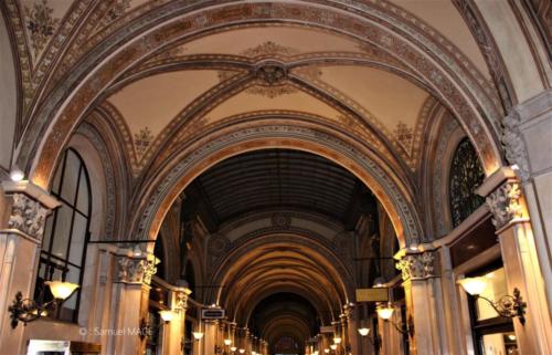 Vienne (Cathédrale) - Autriche - Décembre 2022